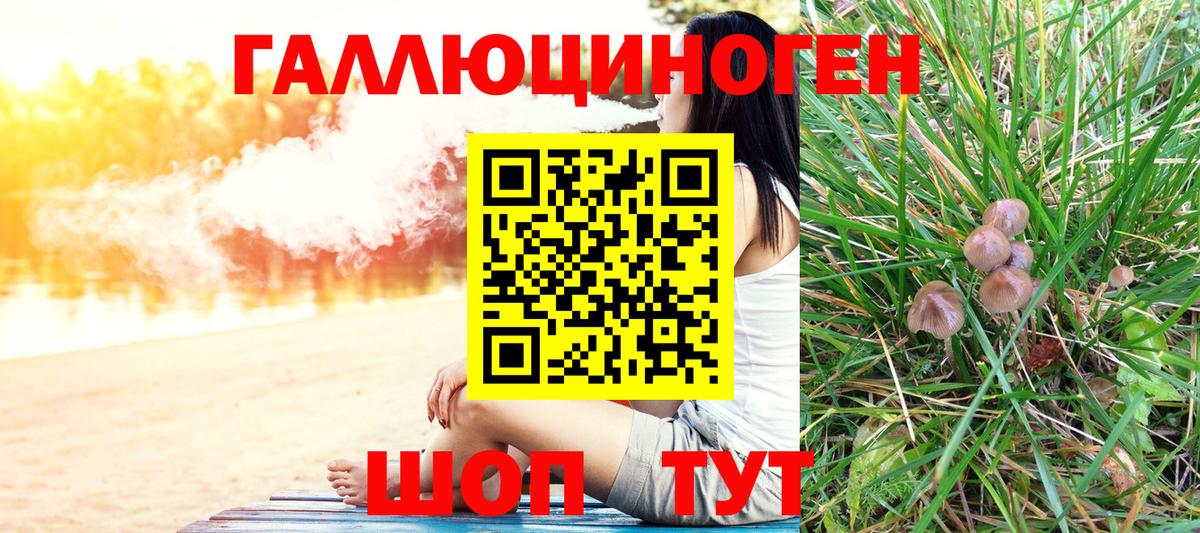 Псилоцибиновые грибы Psilocybine cubensis  Вход с VPN  Уварово 